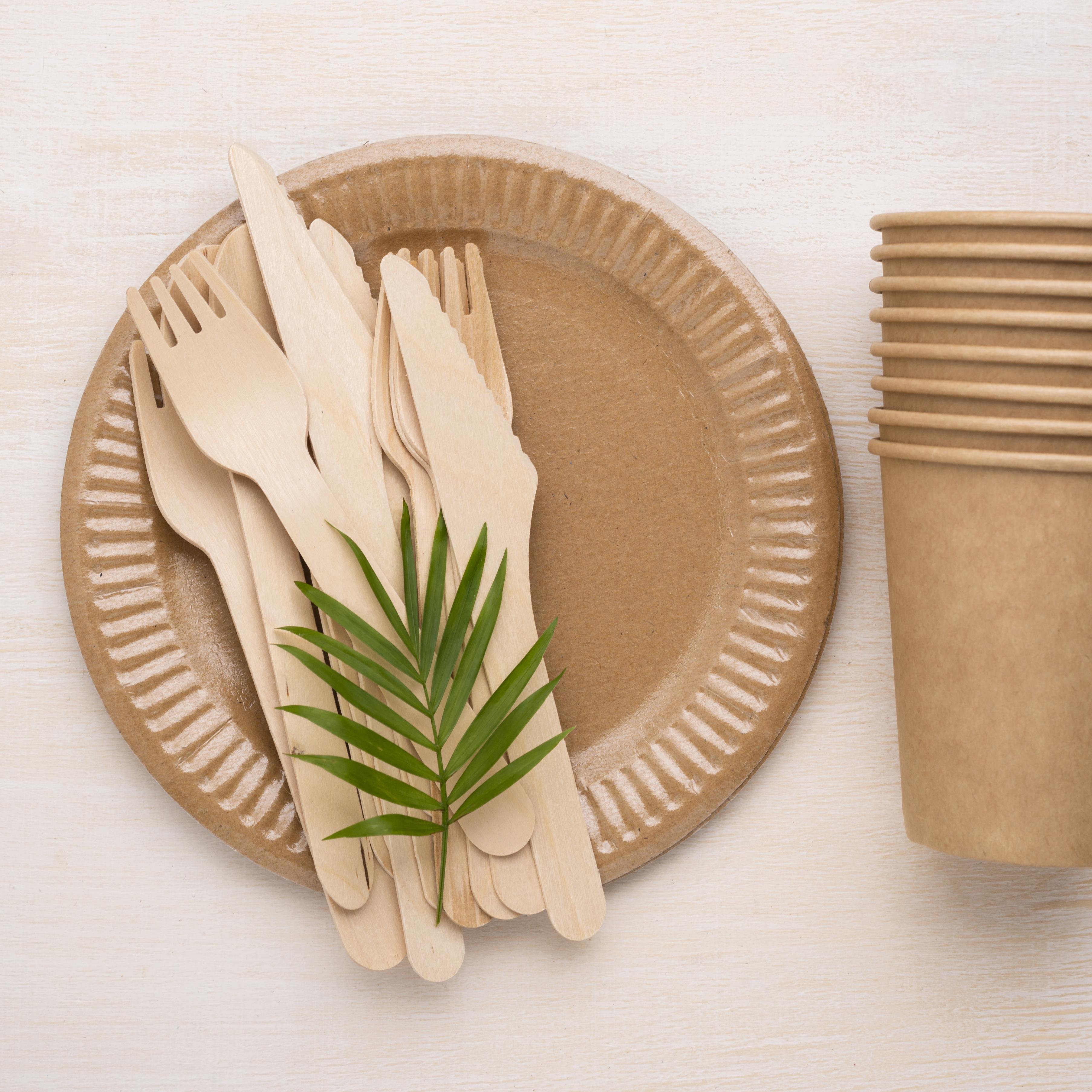Biodegradable Cutlery 1