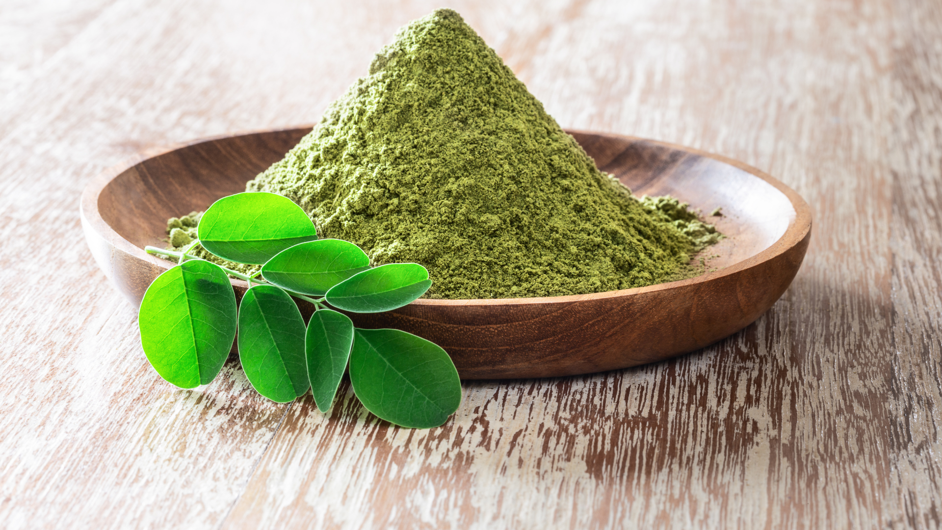 Moringa 1