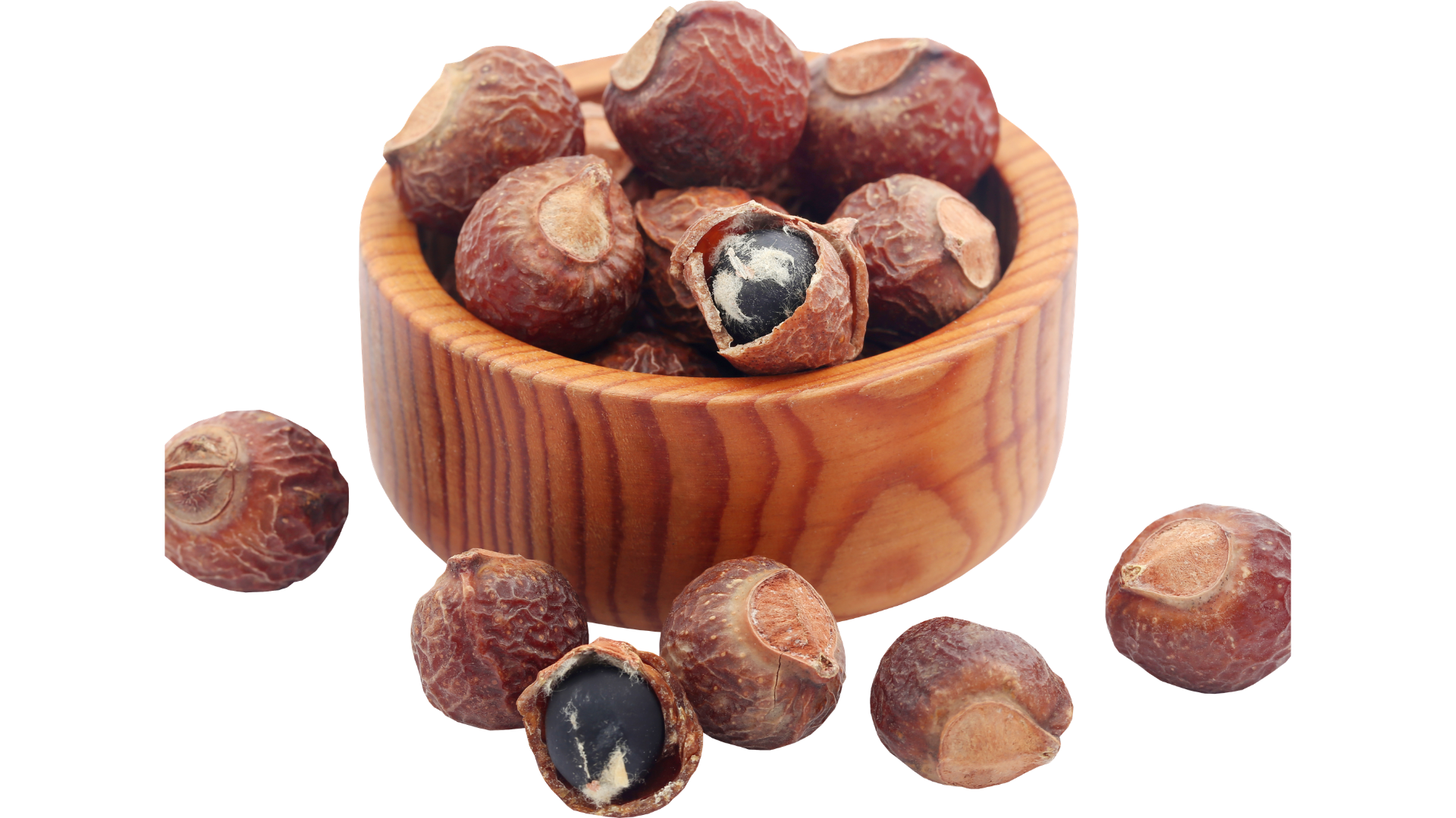 Soapnut 2
